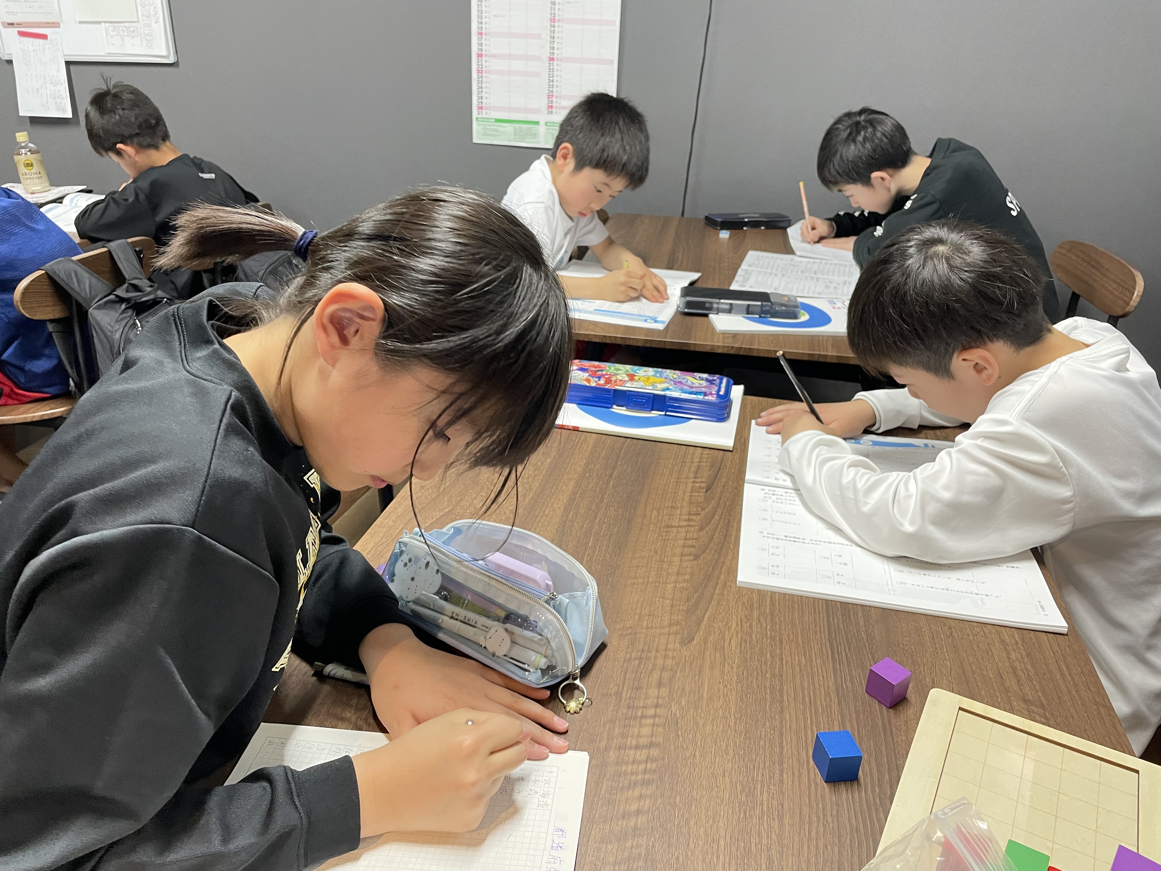 【鹿児島市】小学生の勉強法｜BIGTREE