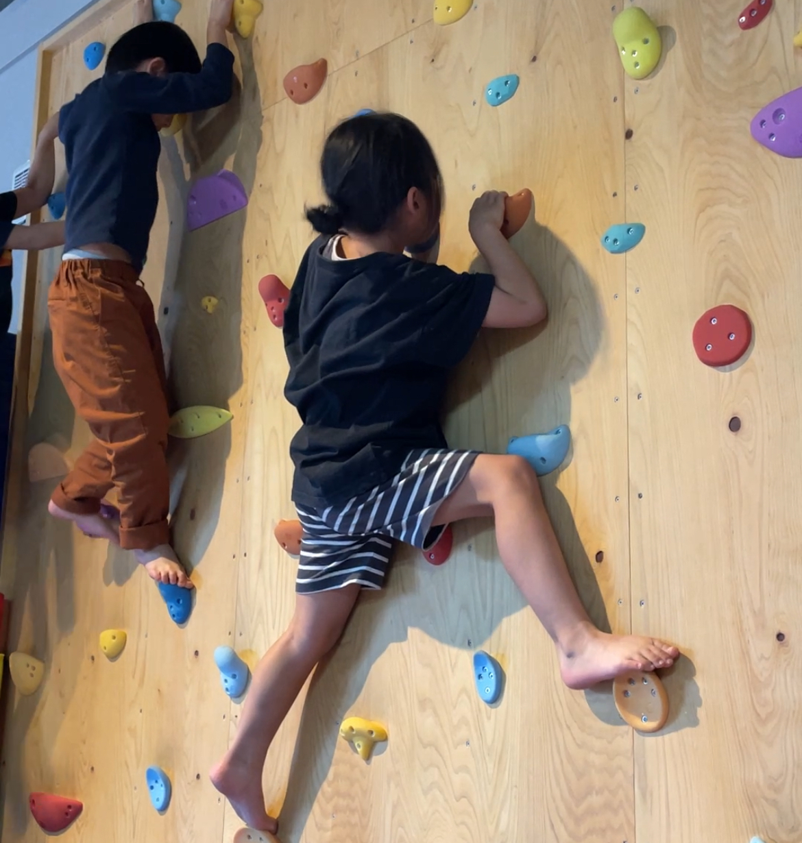 押して、引いて、登る！子どもは運動遊びの中で育つ！